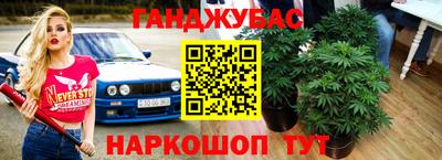 гидра Свободный