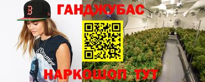 гидра Свободный