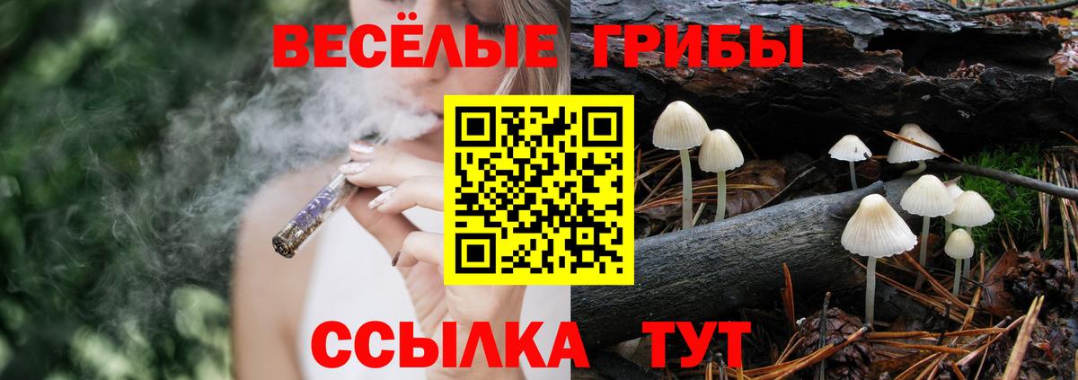 Галлюциногенные грибы ЛСД Ачинск